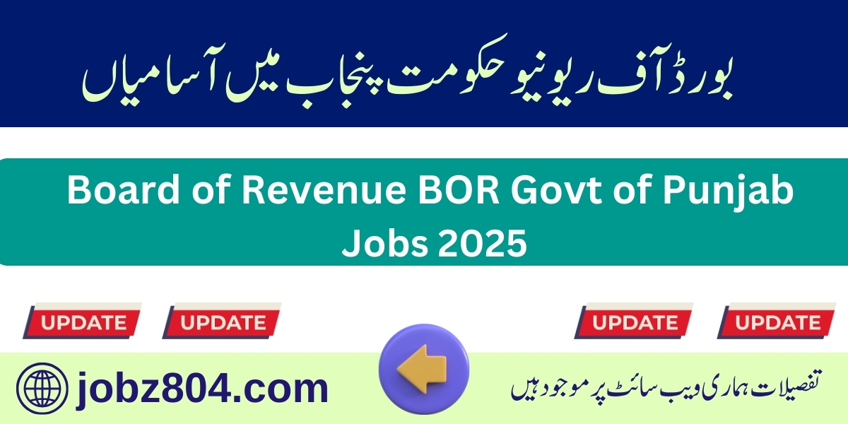 BOR Govt of Punjab Jobs 2025